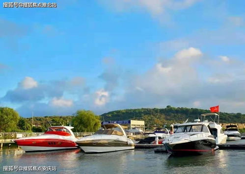 蘇州金庭復園 全景瞰湖美宅，致獻詩意棲居